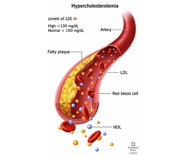  Homeopathic Treatment