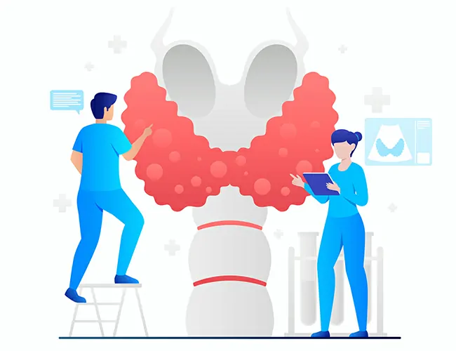 Causes of Thyroid Disorders
