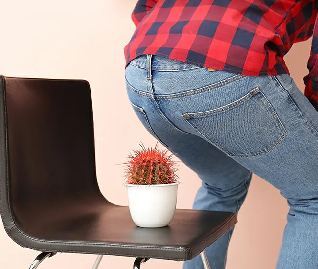 What are Piles (Hemorrhoids)?