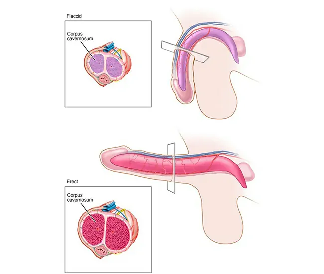  Homeopathic Treatment