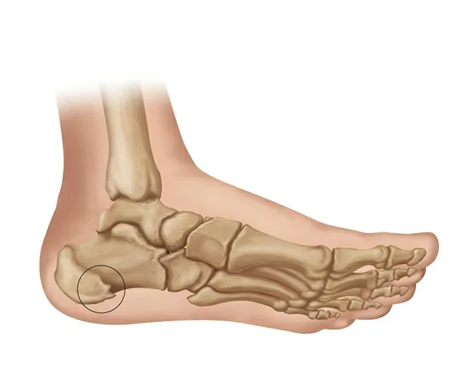  physiotherapy treatment