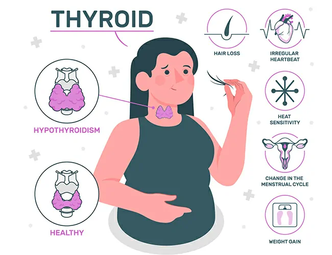 Understanding Thyroid Disorders