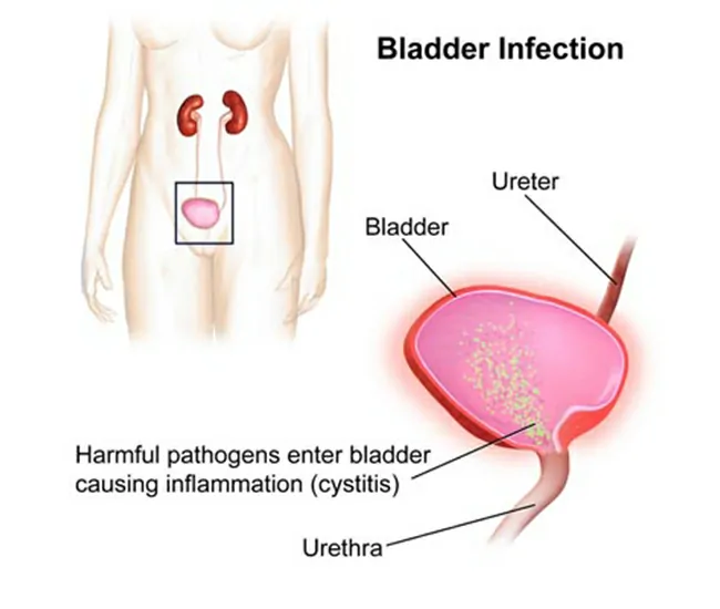  Homeopathy Treatment