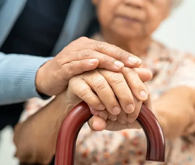  Homeopathic Treatment