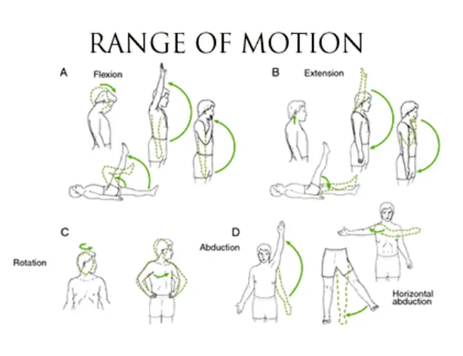 Range of Motion (ROM) Exercises – Improve Joint Mobility