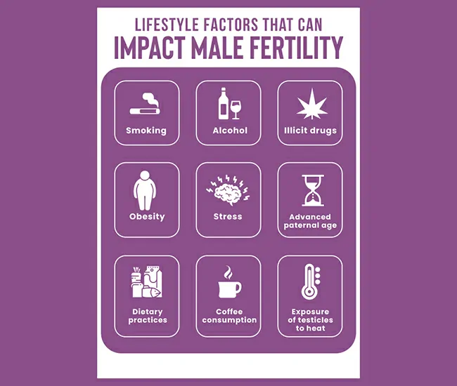 Why Is Male Infertility Increasing Nowadays? 