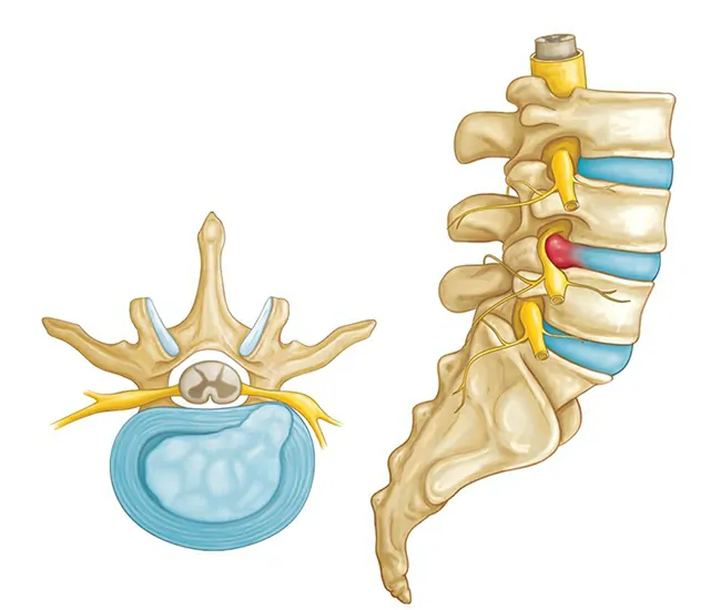  Homeopathy Treatment