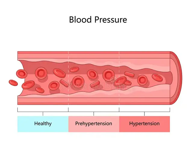  Homeopathic Treatment