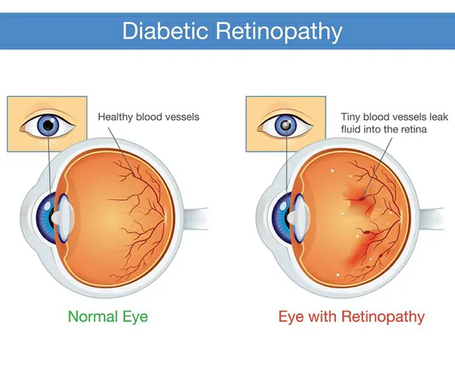  Homeopathy Treatment