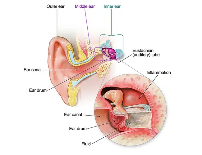  Homeopathy Treatment