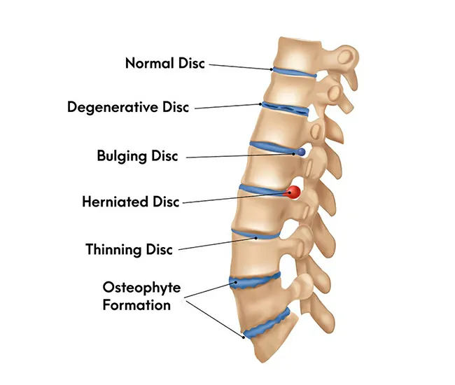 Homeopathy Treatment
