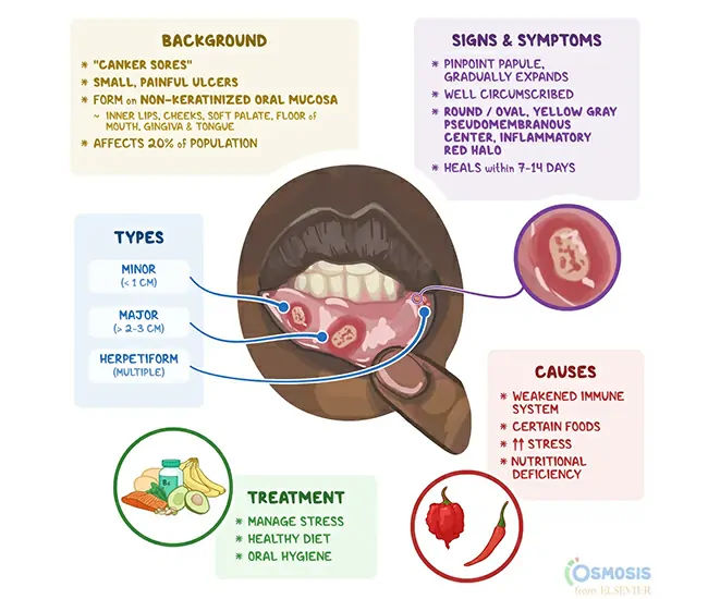  Homeopathic Treatment