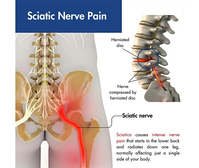  Homeopathy Treatment